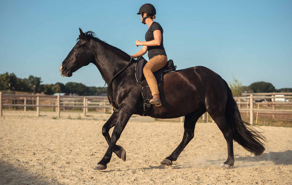 Hästens ben -Förebygg skador med rätt träning och utrustning