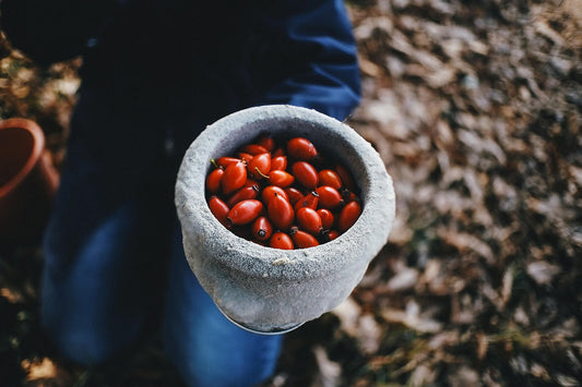 Are Rosehips the best food supplement in the world?