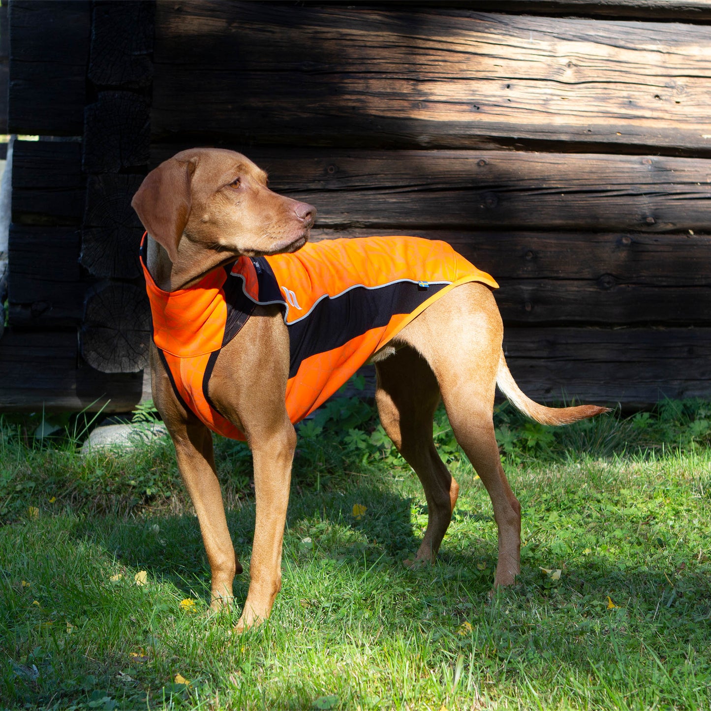 "Eddie" Hundtröja med relfex