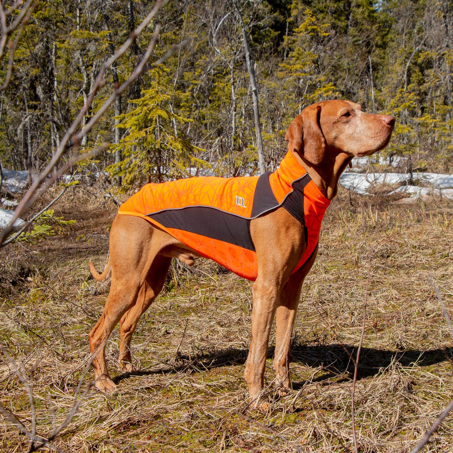 "Eddie" Hundtröja med relfex